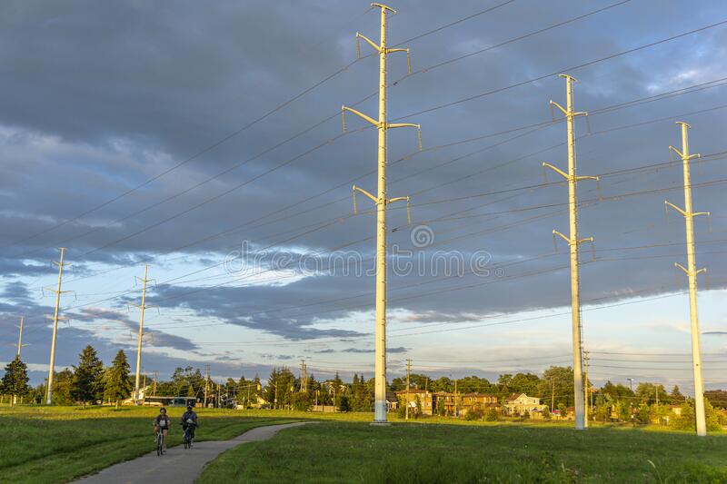 विद्युत चोरीमा संलग्न पर्साबाट १० जना पक्राउ