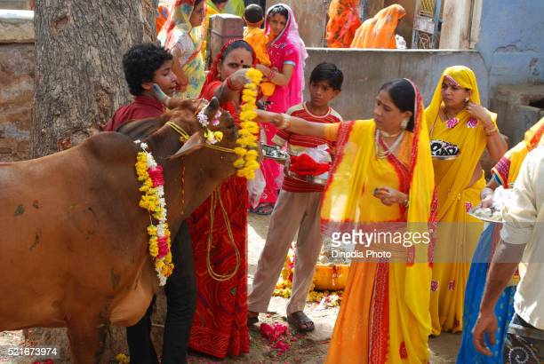 आज देशभर गाईतिहार मनाइँदै